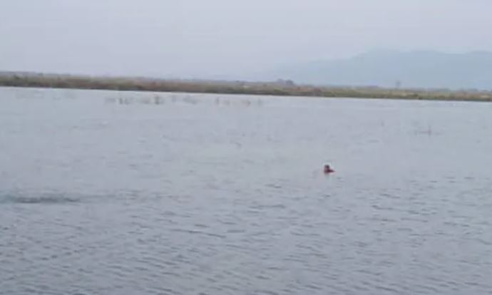 Muere hombre ahogado mientras alimentaba los camarones de una empresa en Baralt
