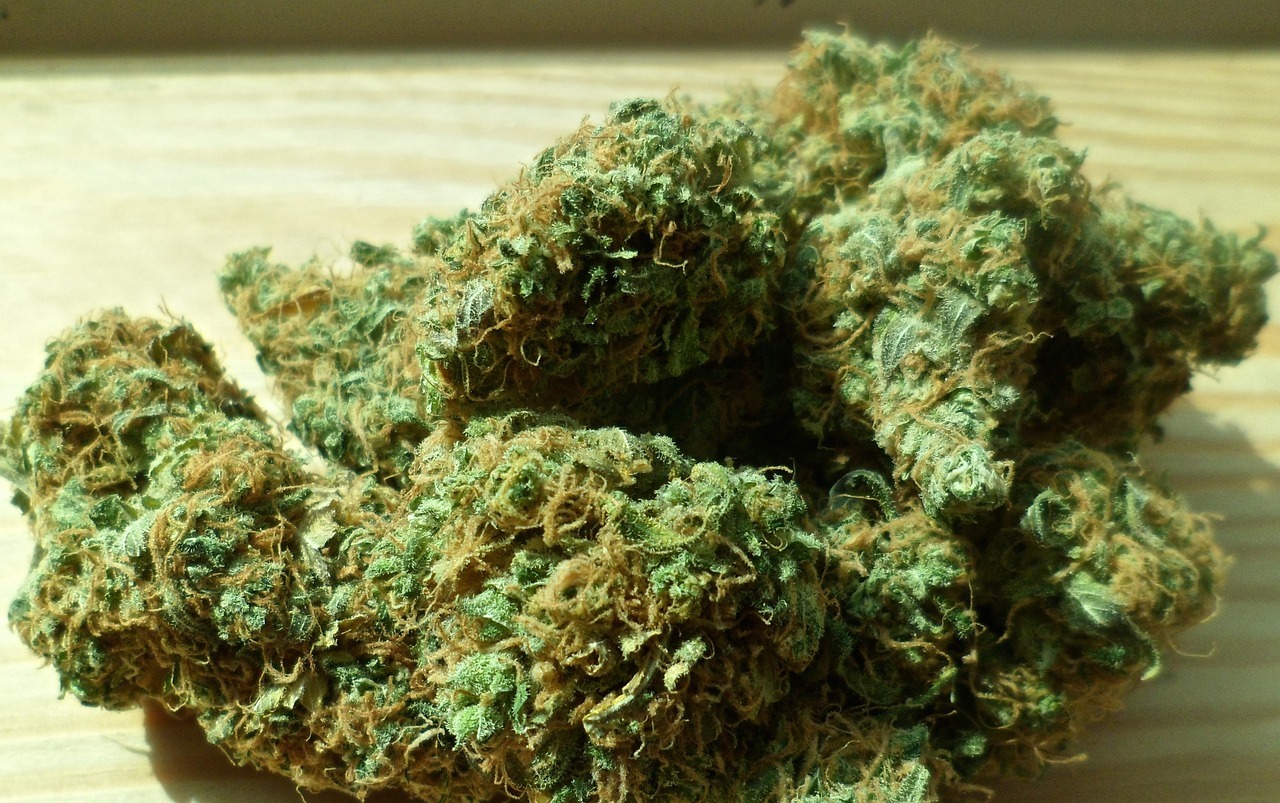 Brasil establece 40 gramos de marihuana para distinguir usuario y traficante