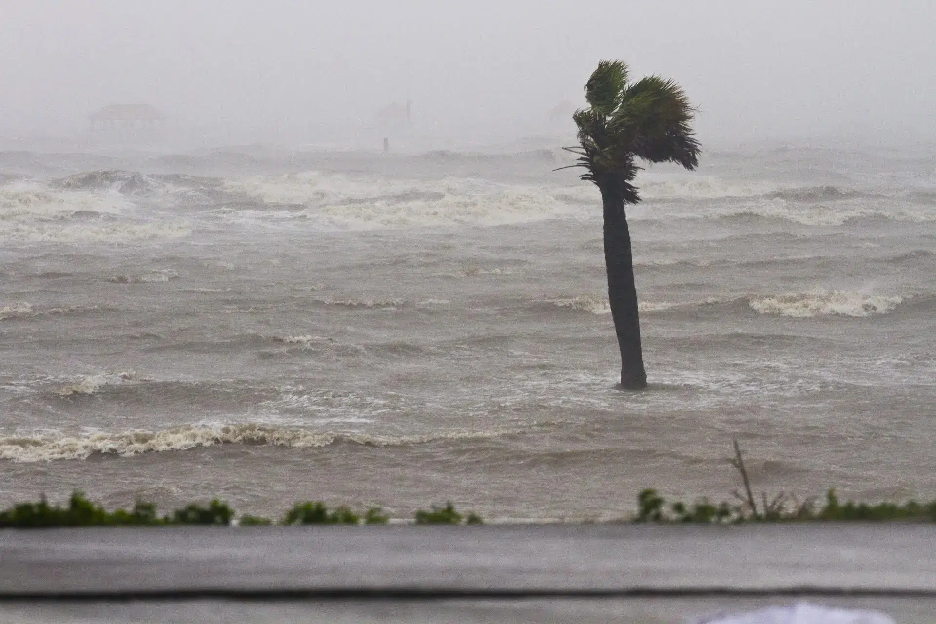 Reportan la formación de la tormenta tropical Ernesto en el Caribe