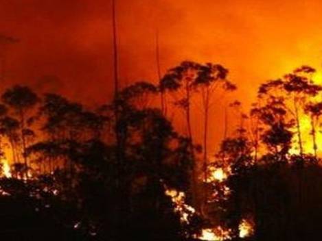 Colombia envía ayuda para a combatir incendio en Ecuador