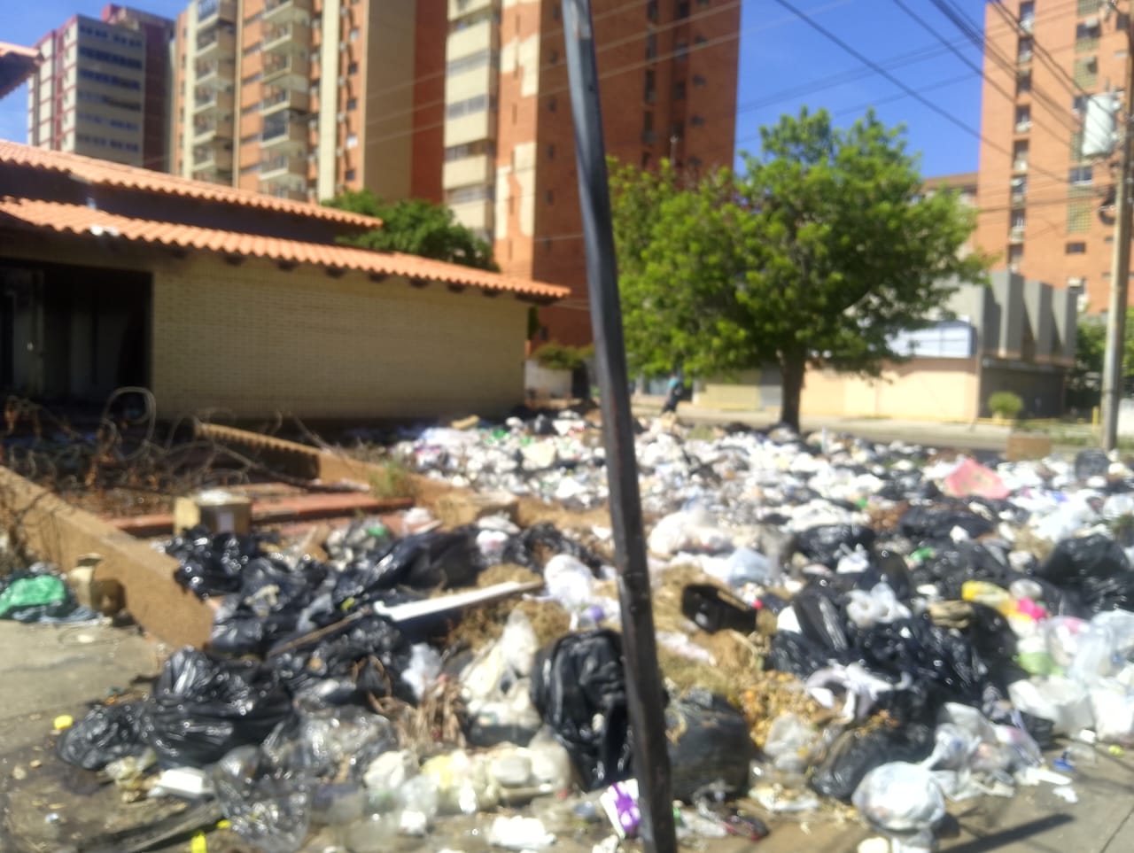 La pesadilla del basurero de la calle 20 con 70