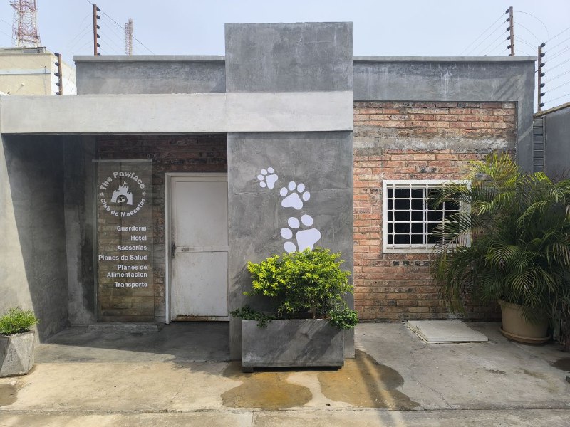 Maracaibo abre sus puertas a la innovación: “The Pawlace”, un hotel exclusivo para mascotas