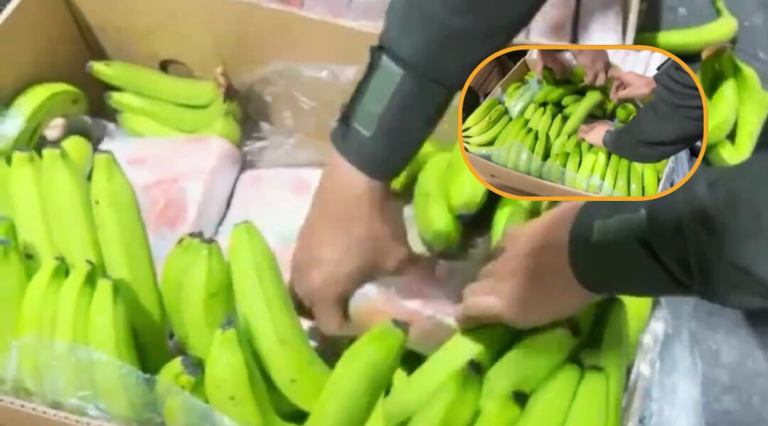 Incautan casi tonelada y media de cocaína oculta dentro de cajas con plátanos en Santa Marta, Colombia