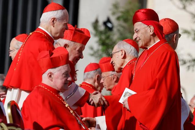 Cardenal acabó con un minibar esperando el cónclave en el Vaticano
