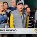 Elvis Amoroso: 