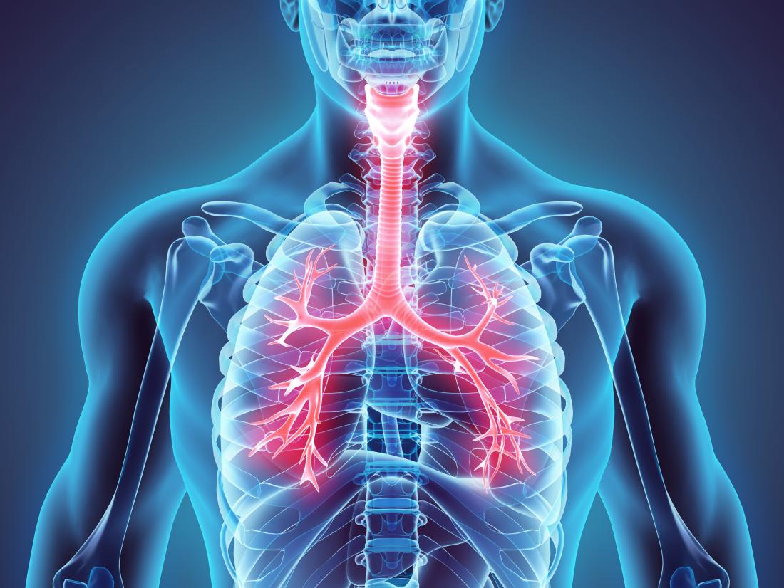 Pérdida de capacidad pulmonar comienza entre los 20 y los 25 años