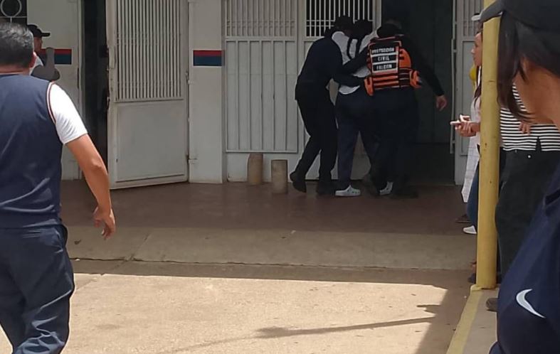 Más de 30 personas fueron atacadas por un enjambre de abejas en Falcón