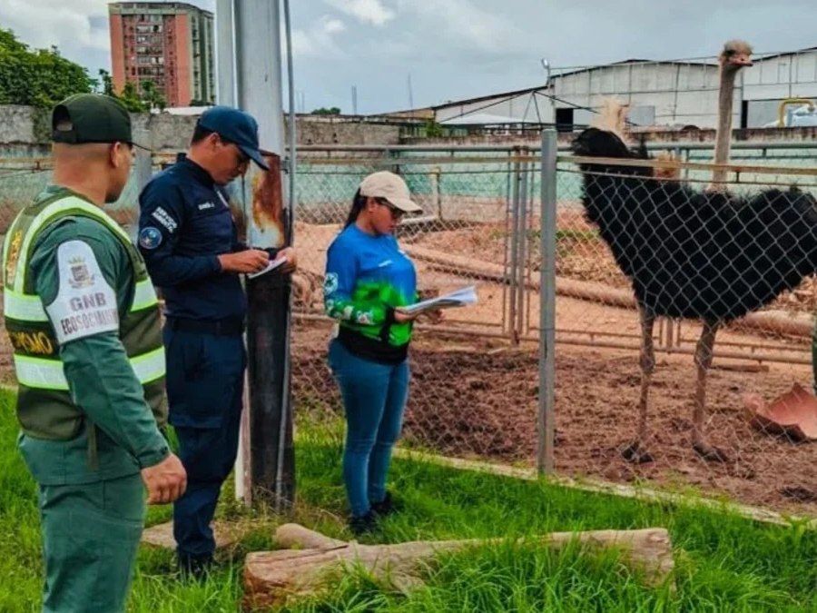 Venezuela rescata a más de mil animales silvestres que estaban en cautiverio