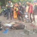 Choque frontal entre motorizados dejó dos muertos en Sinamaica