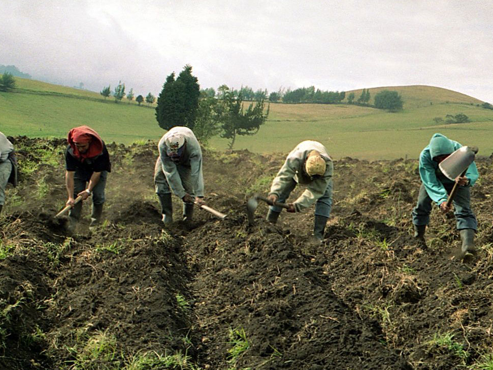 Fedeagro advierte afectaciones por lluvias, pero descarta desabastecimiento en ciudades