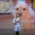 Joseline Rodríguez ganó la Inmunidad en Miss Universe Latina, El Reality por su mensaje para la adopción de perritos