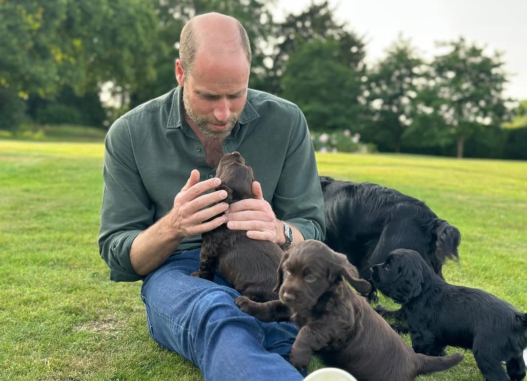 El príncipe de Gales celebra su cumpleaños número 43 rodeado de sus mascotas