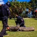 Unidad K 9 de la División de Investigación Contra Drogas del Cicpc al servicio de la investigación penal