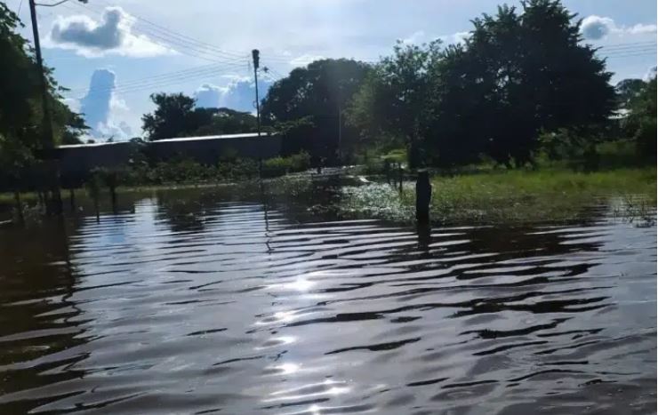Cinco mil hectáreas de caña de azúcar bajo las aguas: Federación Nacional de Cañicultores asegura que no afectará el suministro nacional