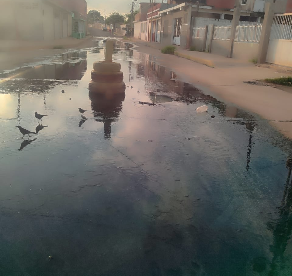Crisis en Altos de Jalisco: Vecinos piden solución a desborde de aguas negras