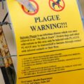 La ‘peste negra’ dejó un muerto en EE.UU.: ¿Qué se sabe de esta enfermedad pulmonar?
