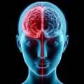 Dos secretos para proteger el cerebro contra la demencia