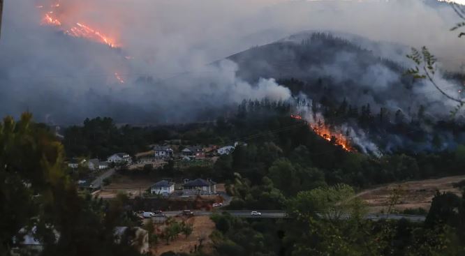 España declara zona catastrófica en 16 comunidades por emergencias climáticas: Más de 410 mil hectáreas quemadas