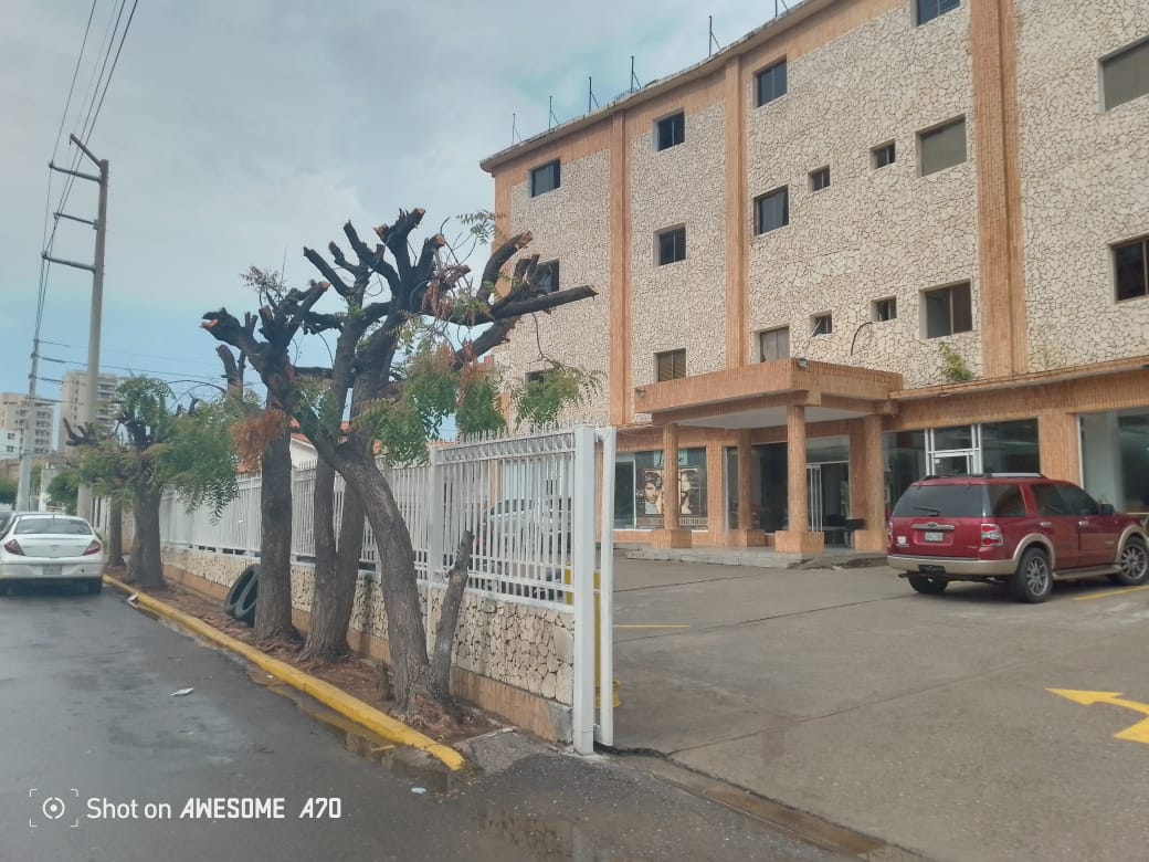 Cuando fueron vecinos La gloria y El infierno en Cecilio Acosta