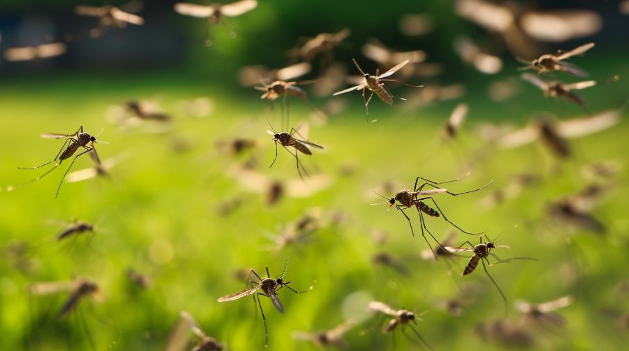 Detectan nueva especie de mosquito en Venezuela, potencial transmisor de malaria