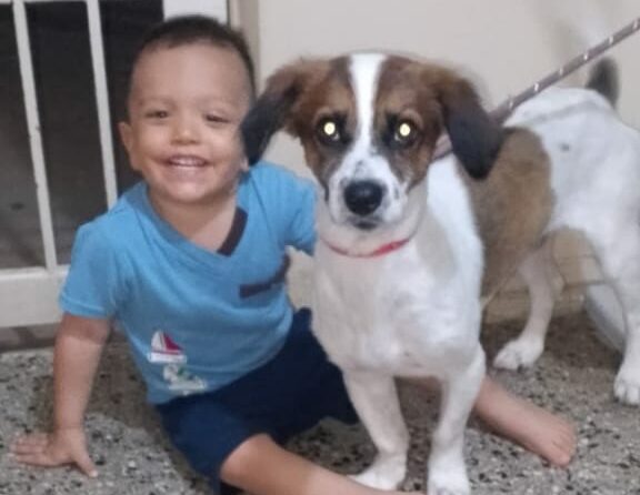 El pequeño Doki ya se encuentra de regreso en casa