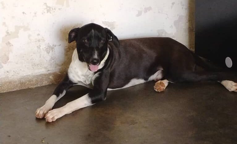 Juntos de nuevo: Max ya está en casa con sus niñas