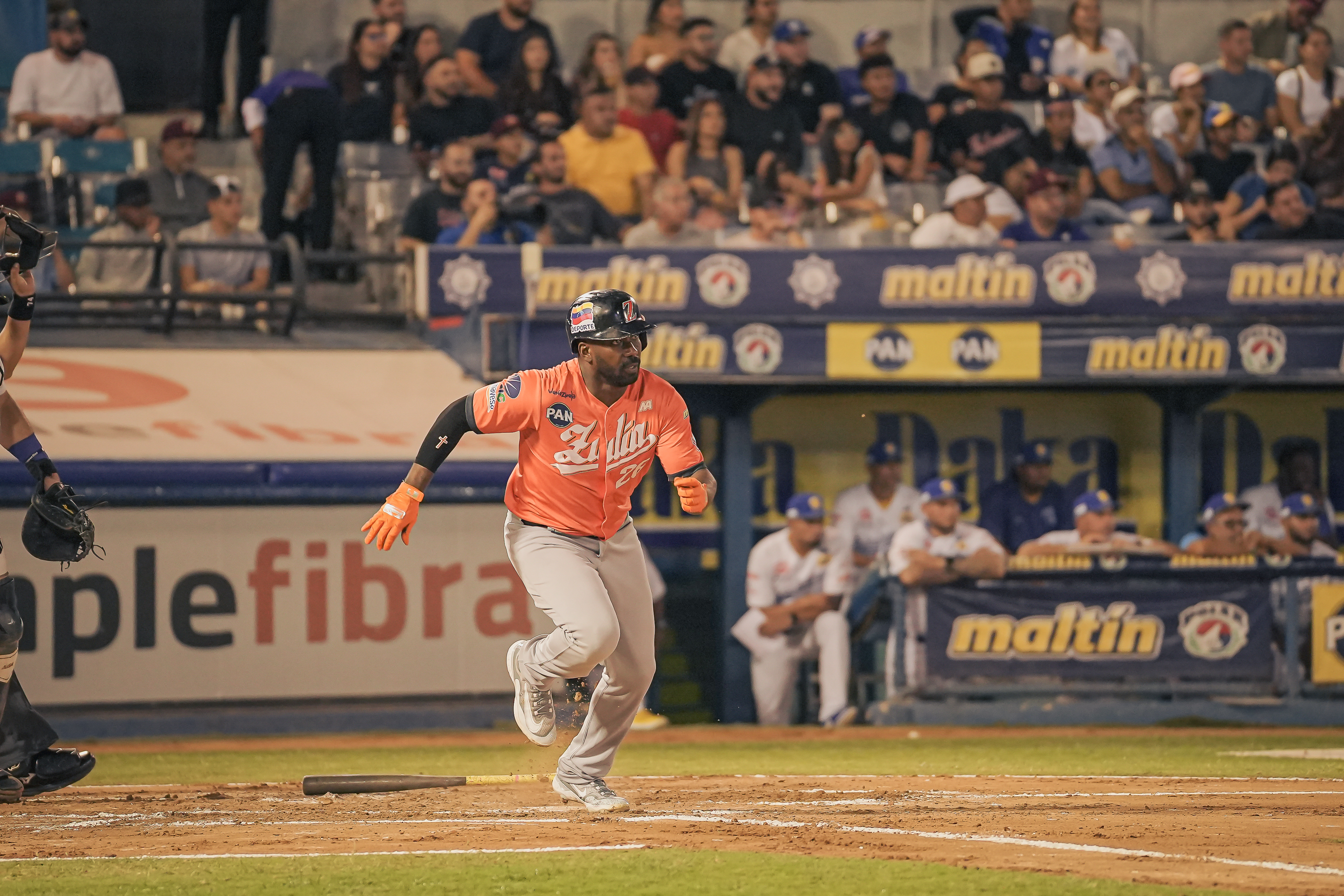 Águilas abre serie como local ante Magallanes por Round Robin