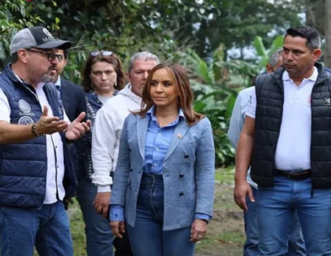 Exportan 24 mil 600 kilos de café verde desde Táchira hacia Italia