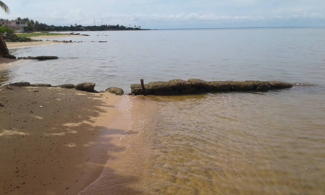 Alarma en la costa de Punta de Palmas por la aparición de un caimán de agua salada
