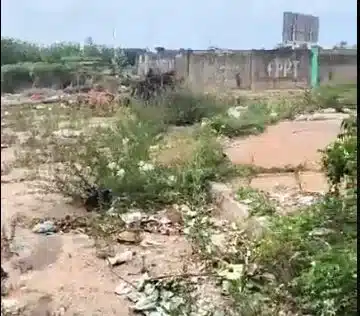 Hallan cadáver de hombre entre basura y maleza en un terreno cerca del Galerías Mall