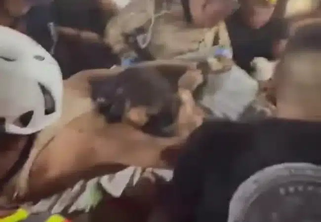 Equipos salvadoreños salvan la vida de una mujer bajo los escombros tras siete horas de labores: ¡Hemos rescatado a Nayarit!