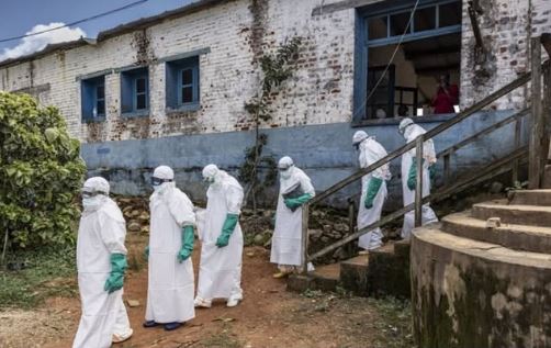 OMS anuncia un plan a gran escala para combatir el ébola