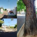 El único liceo de Maracaibo que tiene una avenida para él solito: Baralt
