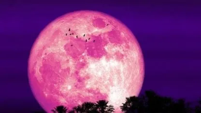 Junio un mes para mirar al cielo: Se disfrutará una danza de planetas brillantes, la llamada Luna de fresa y lluvias de meteoritos