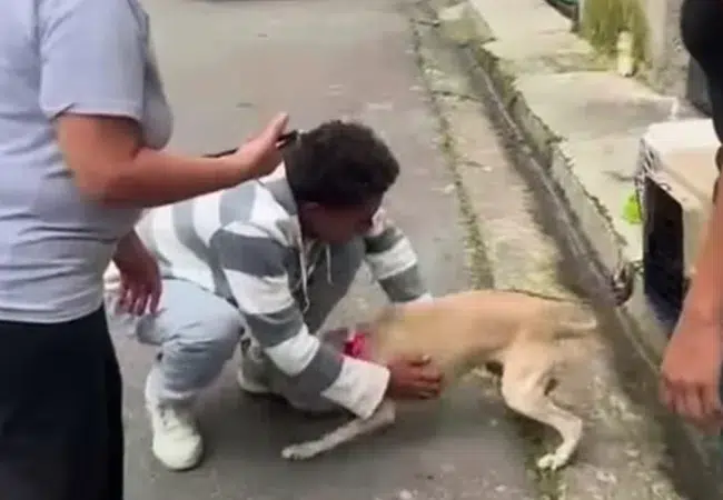 Se vale llorar: Así fue el emotivo reencuentro de ‘Catira’ con su familia tras haber sido rescatada del doble terremoto