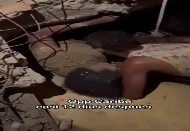 ¡MILAGRO DE VIDA! Una familia entera es hallada con vida 12 días después de la tragedia en La Guaira
